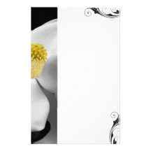 Flor de la magnolia inmóvil papeleria