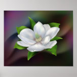 Flor de la magnolia poster