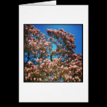 Flor de la magnolia tarjetas