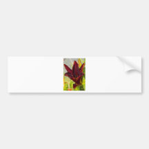 Flor de la mañana etiqueta de parachoque