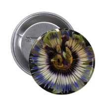 Flor de la pasión pins
