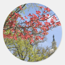 Flor de la primavera del capitolio de los E.E.U.U. Etiquetas