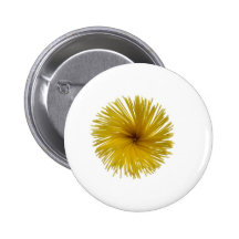 Flor de los espaguetis pins