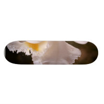 Flor de los pétalos de la orquídea patines personalizados