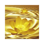 Flor de loto de oro lona envuelta para galerias