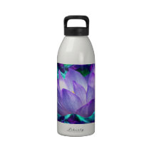 Flor de loto púrpura y su significado botallas de agua