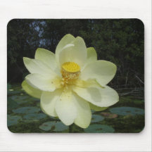 Flor de Lotus amarilla Alfombrillas De Ratones