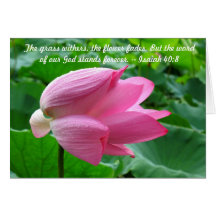 Flor de Lotus hermosa con gotas de lluvia Tarjeta