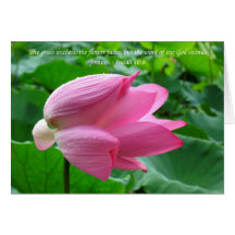 Flor de Lotus hermosa con gotas de lluvia Tarjetas
