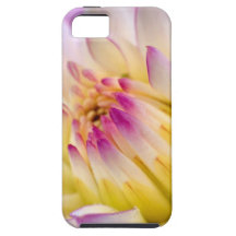 Flor de Lotus iPhone 5 Case-Mate Carcasa