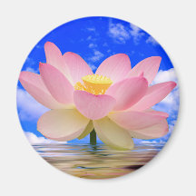 Flor de Lotus llevada en agua Imanes