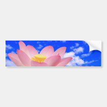 Flor de Lotus llevada en agua Etiqueta De Parachoque