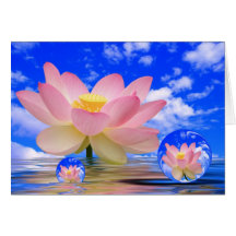 Flor de Lotus llevada en agua Tarjetas