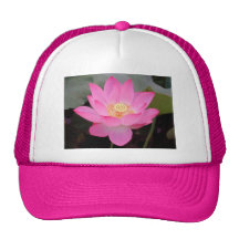 Flor de Lotus rosada en la floración Gorros
