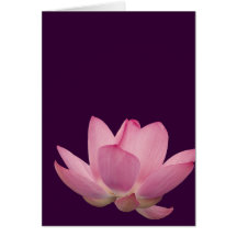 Flor de Lotus rosada Felicitacion