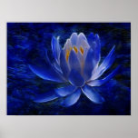 Flor de Lotus y su significado Posters