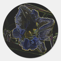 Flor de neón del Daylily del resplandor con los bo Pegatina