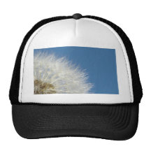 Flor de Papá Noel Gorras