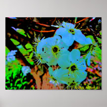FLOR DEL ÁRBOL POSTER
