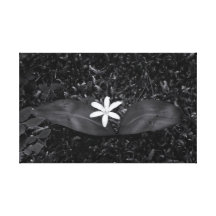 Flor del bosque lona envuelta para galerias