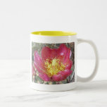 Flor del cactus tazas