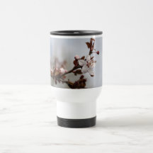 flor del ciruelo de la primavera taza de café