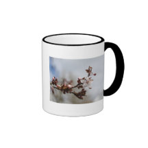 flor del ciruelo de la primavera tazas de café