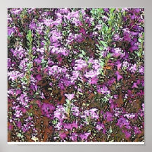 Flor del desierto posters
