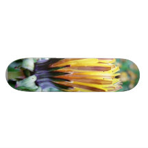 Flor del diente de león casi en la floración patines personalizados