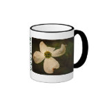 Flor del Dogwood - taza
