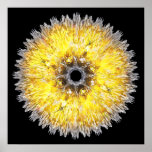 Flor del espacio impresiones