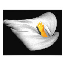 FLOR DEL GM COMUNICADO PERSONAL  