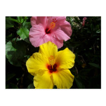 Flor del hibisco de Hawaii Postal