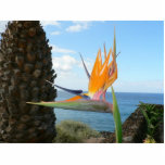 Flor del loro escultura fotográfica