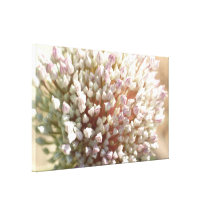 Flor del puerro impresiones de lienzo