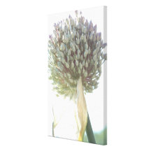 Flor del puerro lona envuelta para galerias