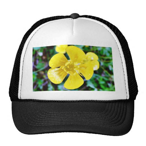 Flor del ranúnculo gorro de camionero