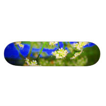 flor del verde azul tablas de patinar