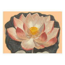Flor elegante de Lotus para la yoga/el centro budi Tarjeta De Visita