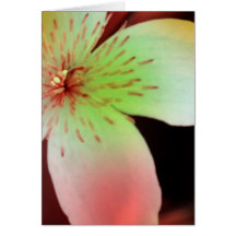 Flor en colores pastel del Clematis Tarjeta