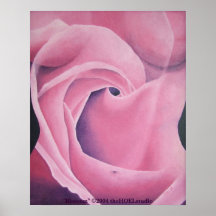 Flor en lona posters