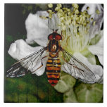 Flor floral alterada de la avispa de la abeja de D Teja Cerámica