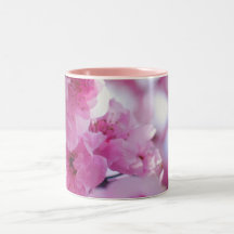 Flor floreciente del árbol de ciruelo taza