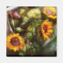 Flor - girasol - caja de herramientas de los jardi imanes de nevera