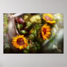 Flor - girasol - caja de herramientas de los jardi poster