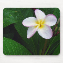 Flor hawaiana amarilla y blanca Mousepad del Plume