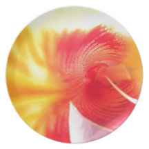 Flor hermosa plato para fiesta