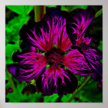 Flor invertida posters