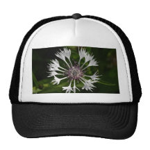 Flor llamativa gorras