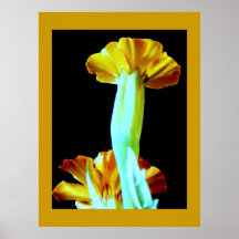 FLOR LUNAR POSTERS